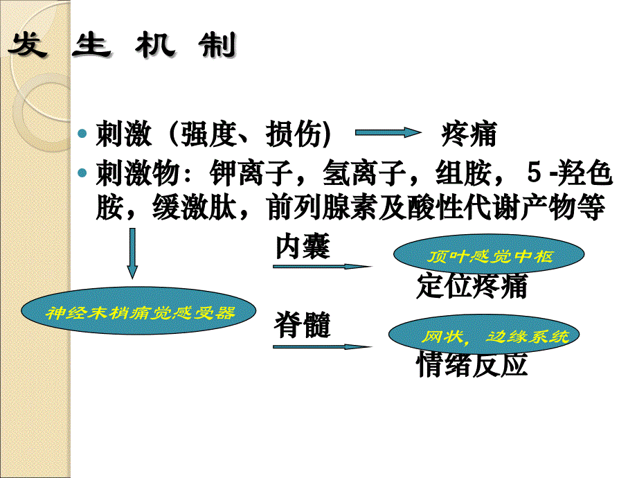 疼痛头痛胸痛腹痛课件PPT_第4页