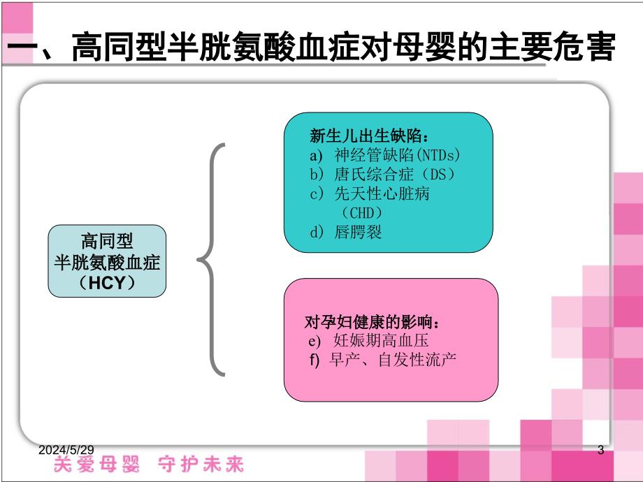 叶酸利用能力遗传检测项目课件PPT_第3页