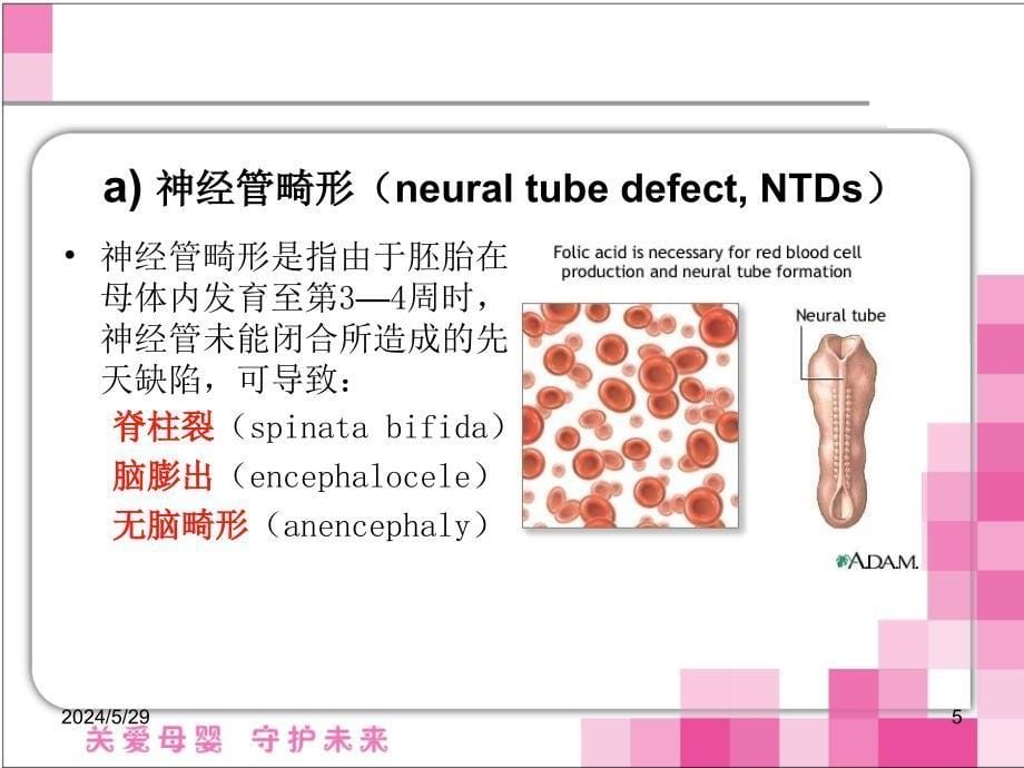 叶酸利用能力遗传检测项目课件PPT_第5页