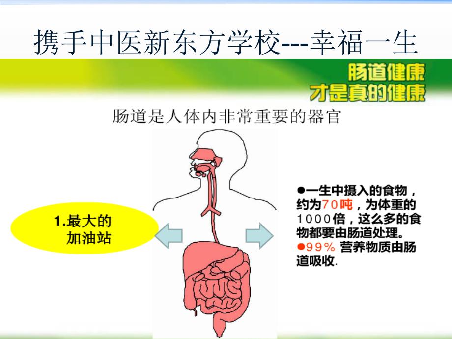 肠道健康才是真健康课件PPT_第1页