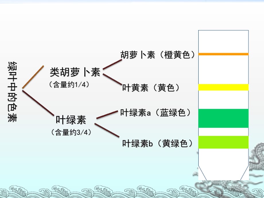 光合作用课件PPT_第4页