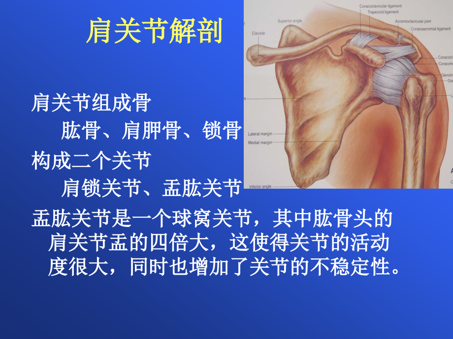 肩关MRI课件PPT_第3页