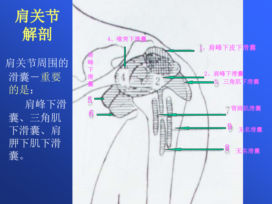 肩关MRI课件PPT_第4页