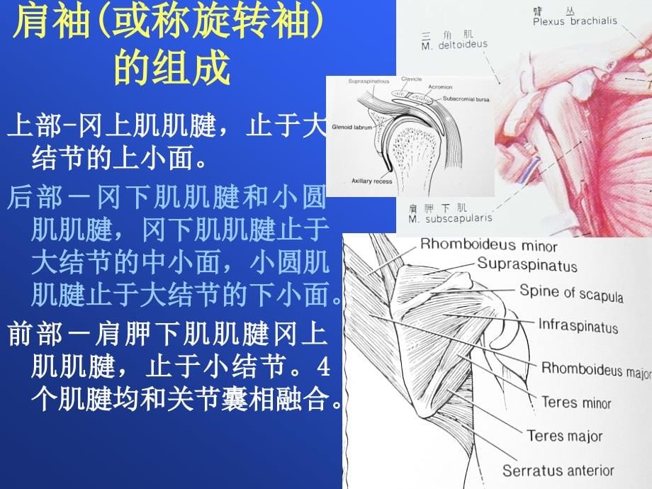 肩关MRI课件PPT_第5页