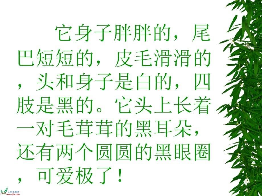 西师大版三年级语文上可爱的大熊猫讲课资料_第5页