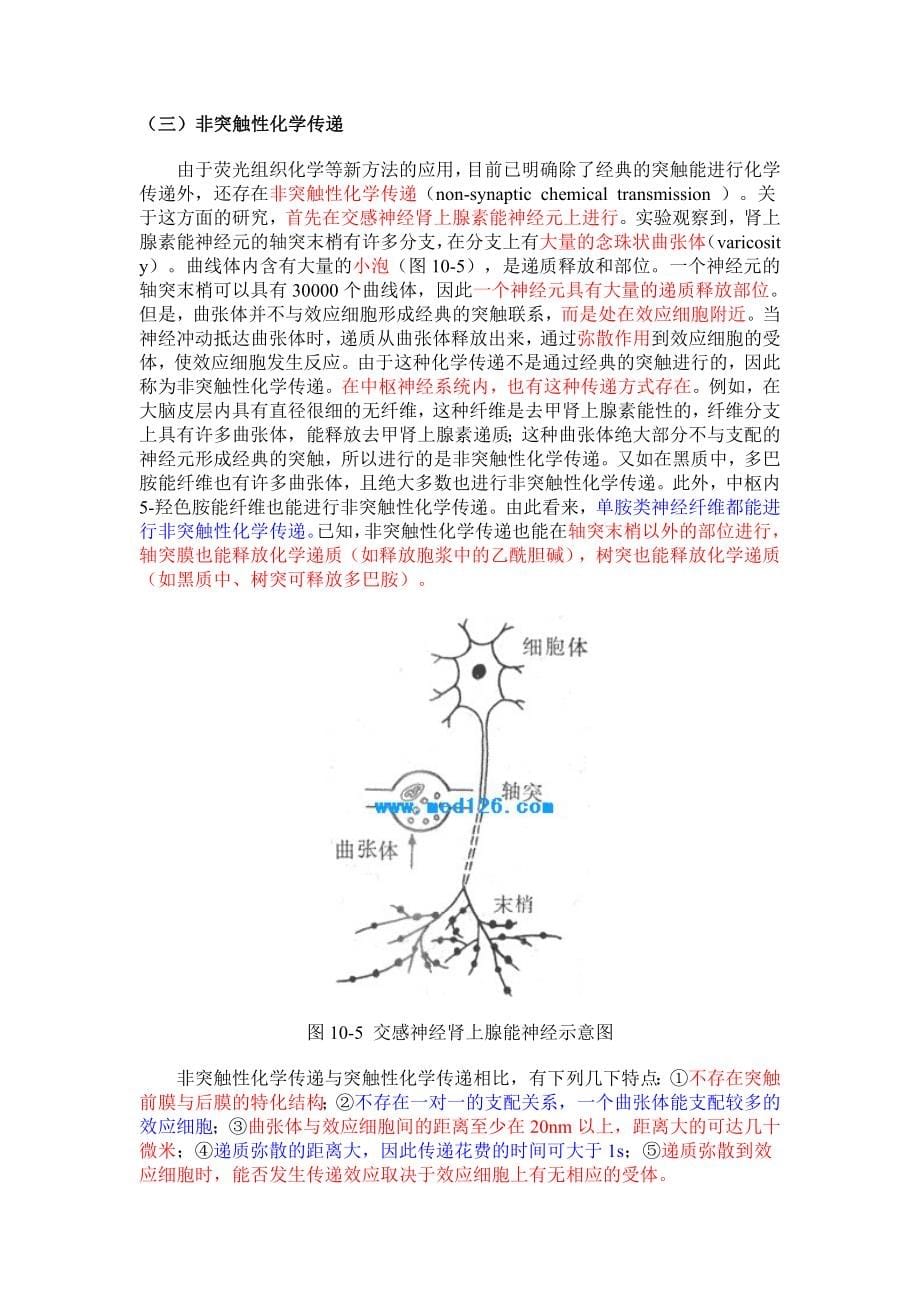 神经学期末复习（汕头大学）神经元活动的一般规律和神经元的作用方式.doc_第5页