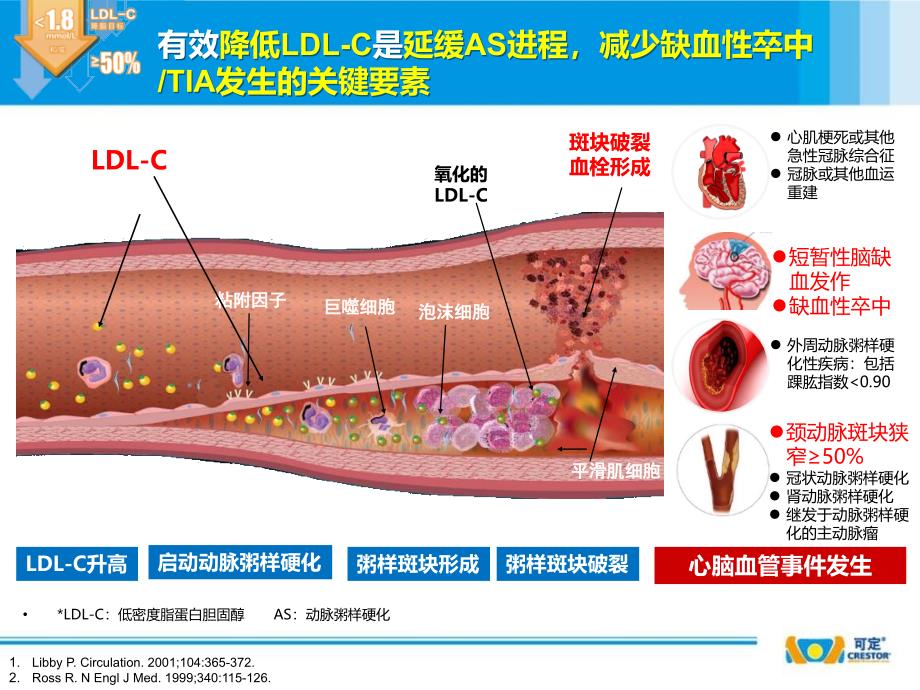 遵循指南优化他汀选择课件PPT_第4页