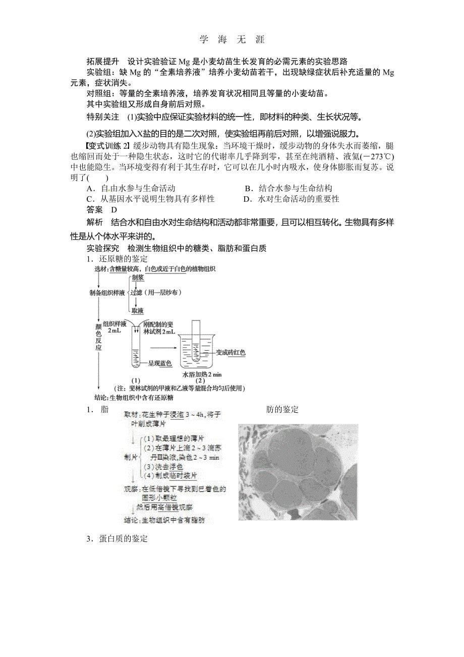 高考生物大一轮复习学案+作业第一单元 学案2 细胞中的元素和化合物 细胞中的无机物（整理）_第5页