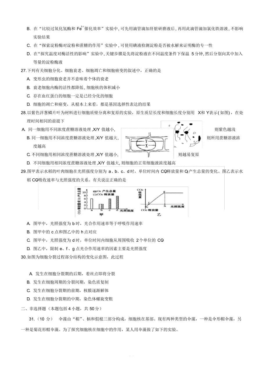 最新-四川省遂宁二中2018-2019高二下学期期末考试模拟生物试卷【带答案】_第5页