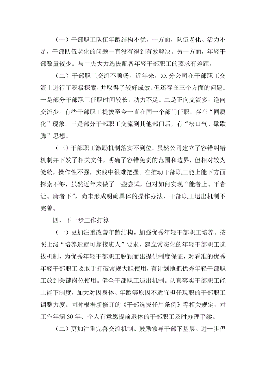 企业选人用人工作专题报告12页_第4页