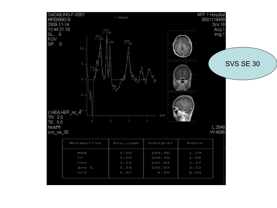 日MRS课件PPT_第4页