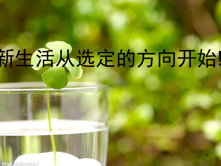 规划人生主宰命运(高三励志主题班会)PPT幻灯片_第4页