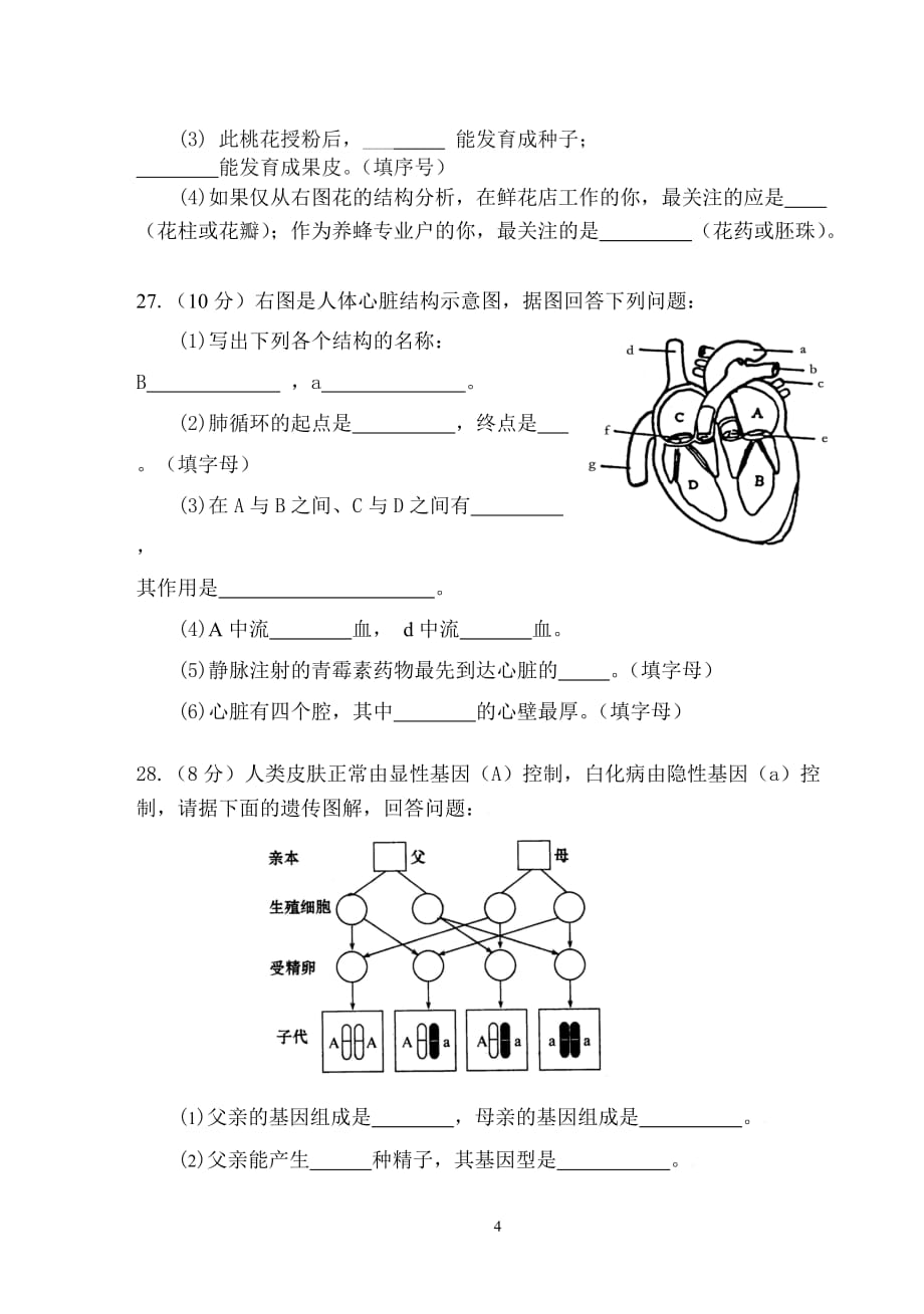 2013年初中学业水平考试生物模拟试题及答案(一)_第4页