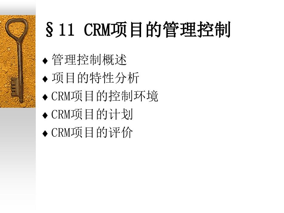 CRM项目的管理控制_第2页