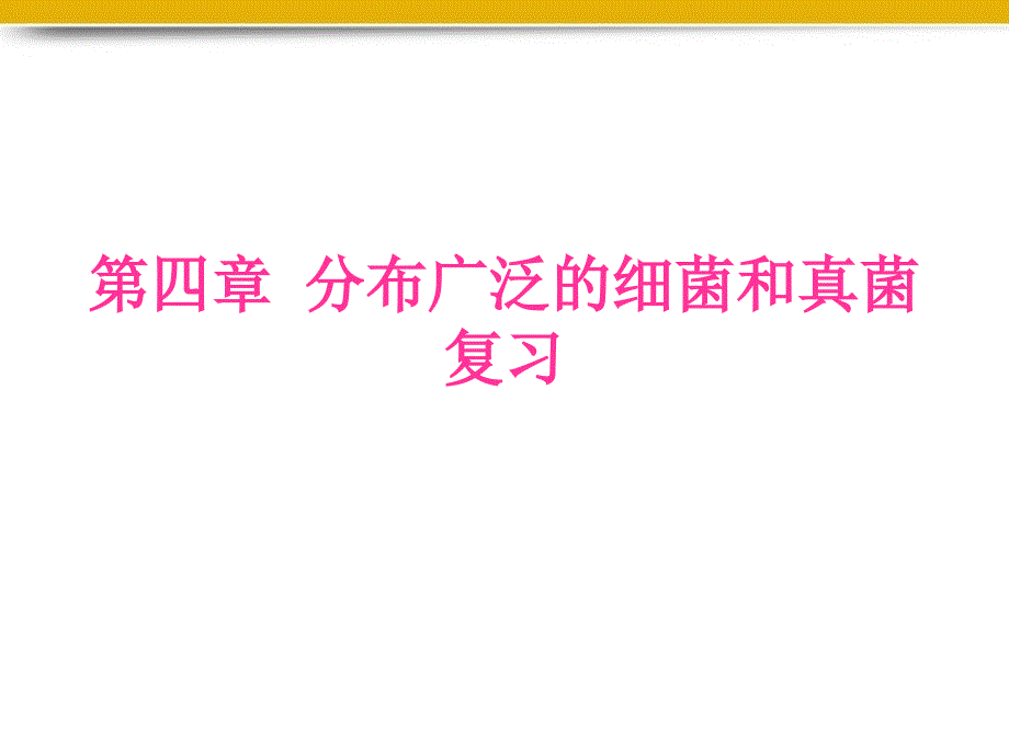 八级生物上册第四章细菌和真菌复习课件人教新课标版_第1页