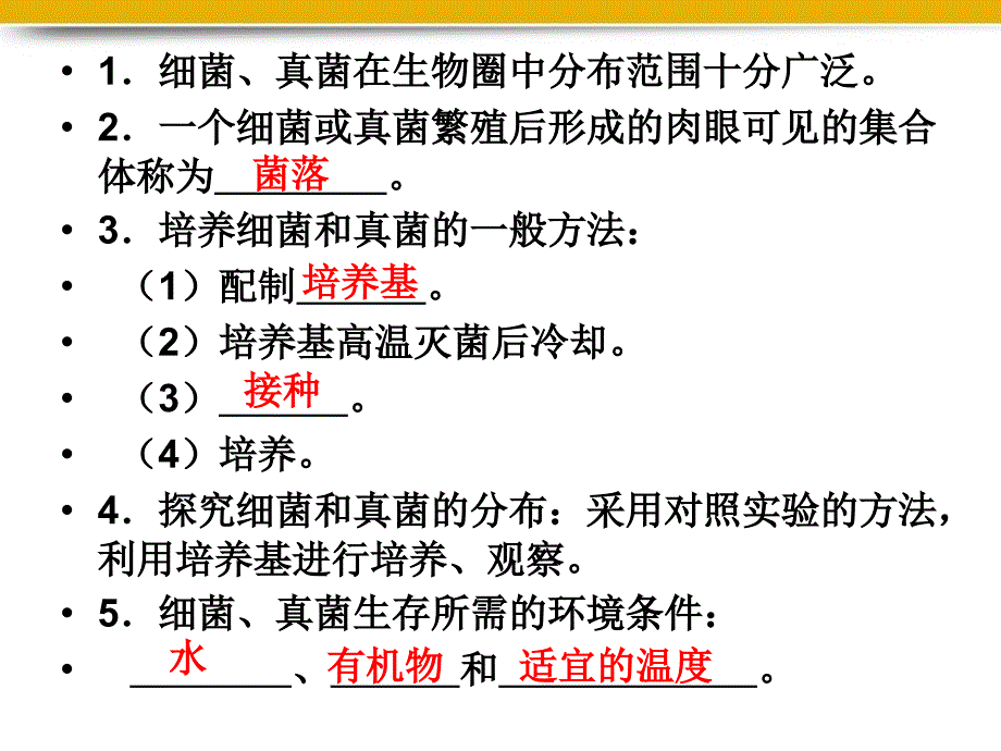 八级生物上册第四章细菌和真菌复习课件人教新课标版_第3页