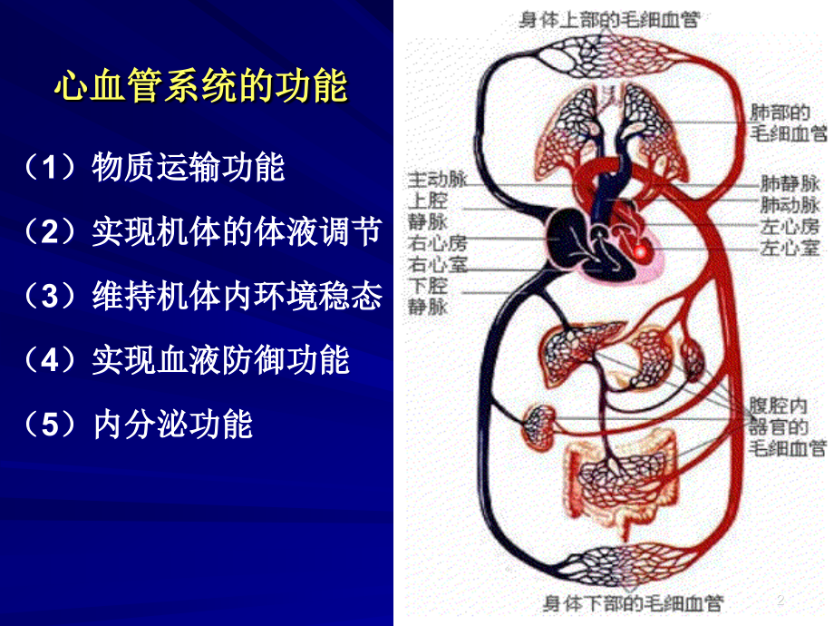 心肌力学PPT演示课件_第2页