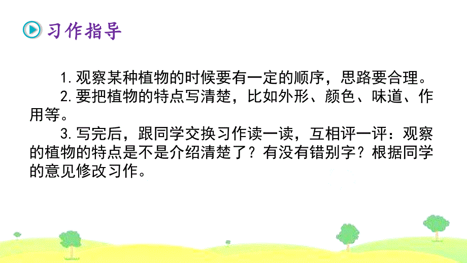 小学公开课优质课件精选——我的植物朋友_第4页