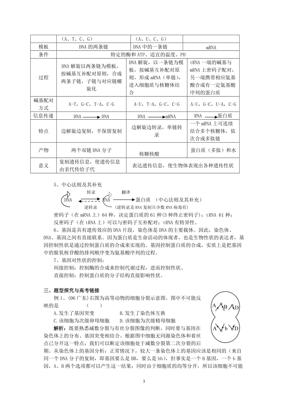 fail1106高三生物第二轮教学案专题4____遗传的细胞基础和分子基础.doc_第3页