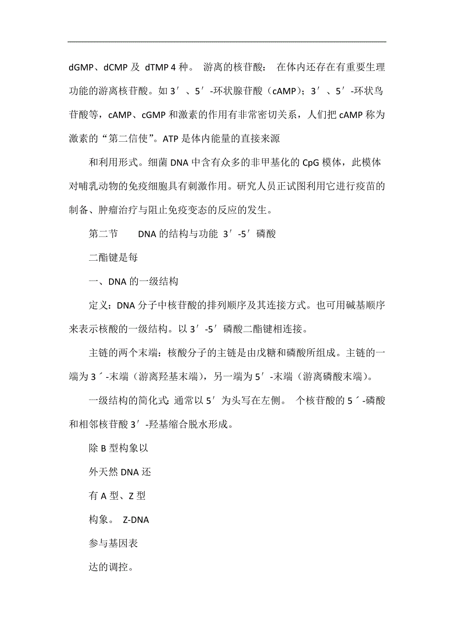 第八章核酸结构、功能与核苷酸代谢.doc_第2页