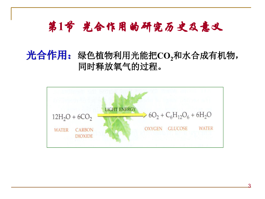 植物生理学-光合作用PPT演示课件_第3页