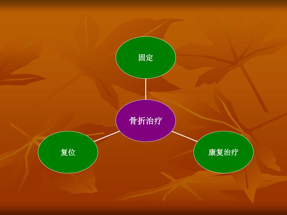 骨折的治疗原则课件PPT_第2页