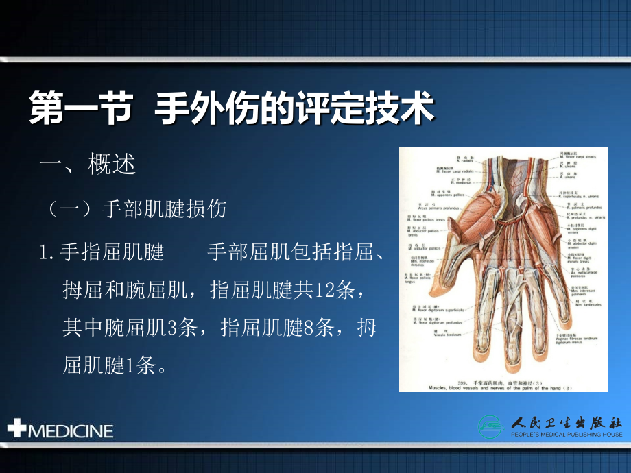 常见骨关疾病评定技术课件PPT_第3页