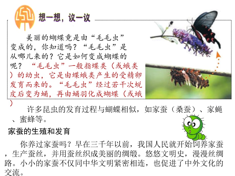 人教版八年级生物下册课件 第一章 第二节 昆虫的生殖和发育(共19张ppt).ppt_第3页