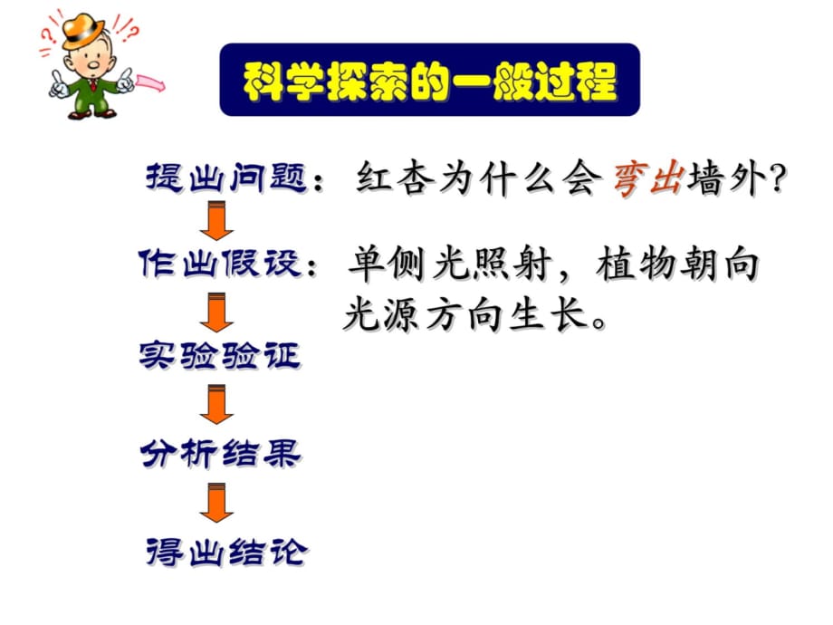 植物的激素调节(精品)教学内容_第3页