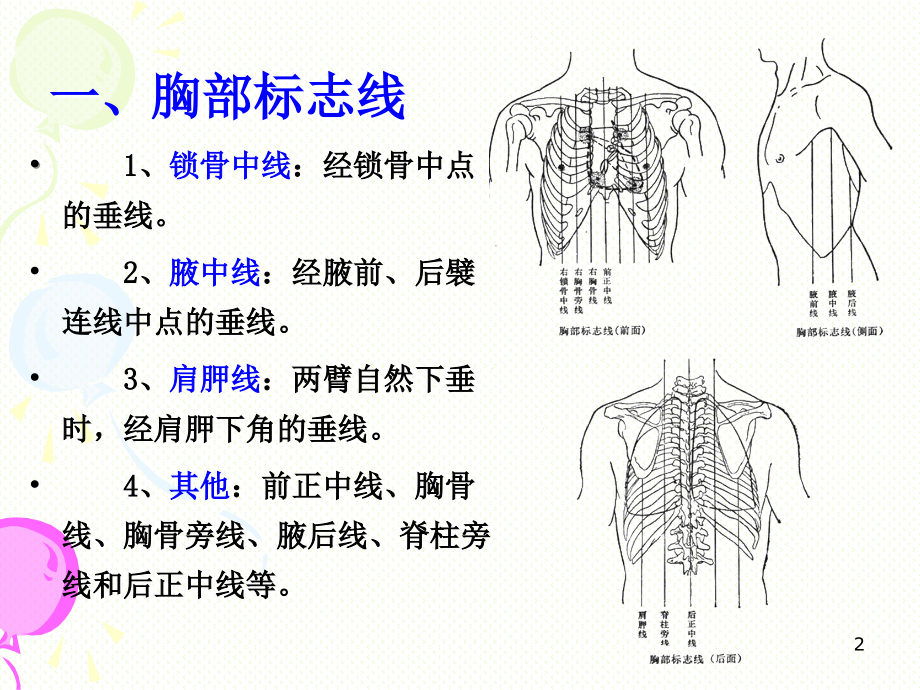 消化系统PPT演示课件_第2页