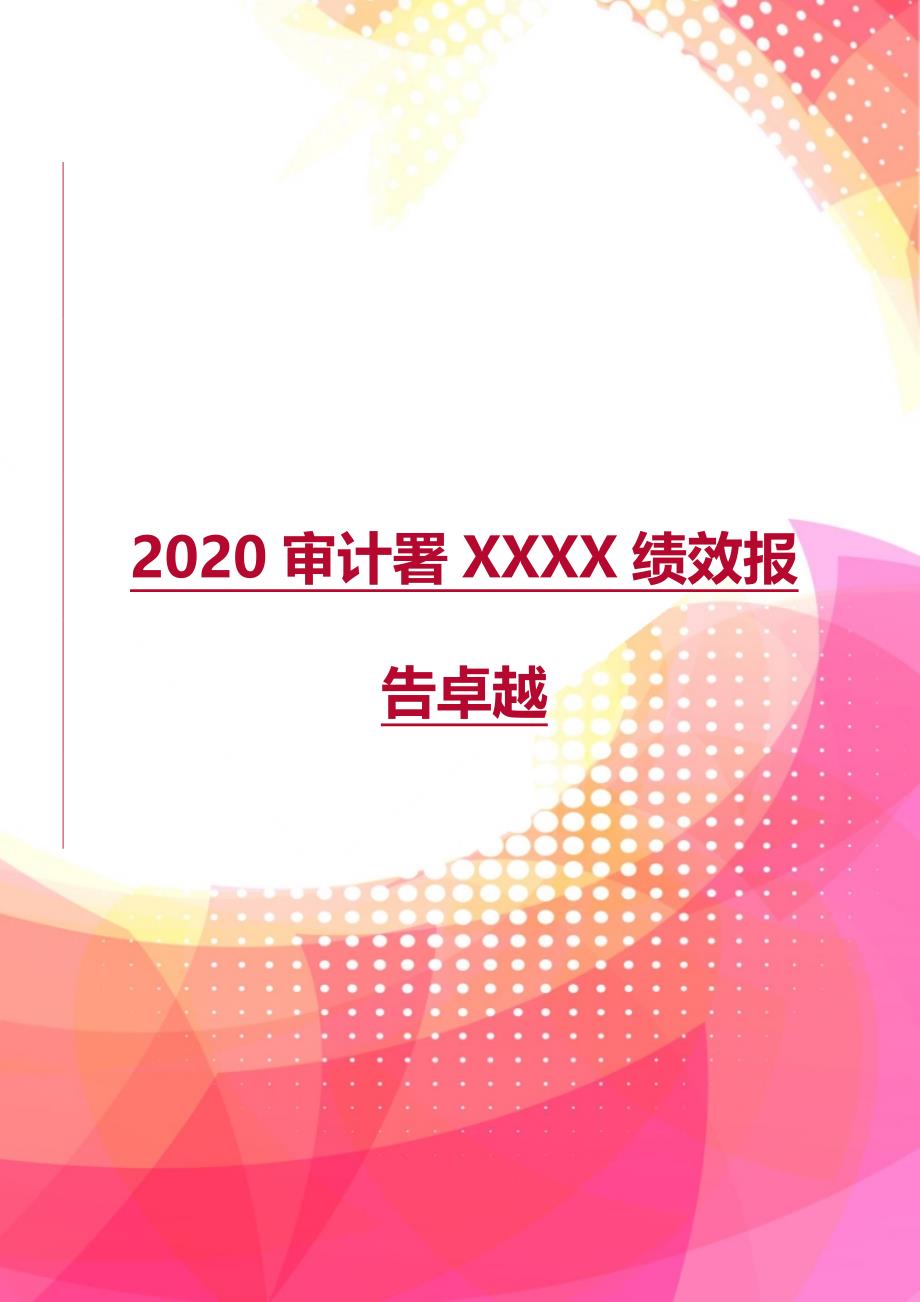 2020审计署XXXX绩效报告卓越_第1页