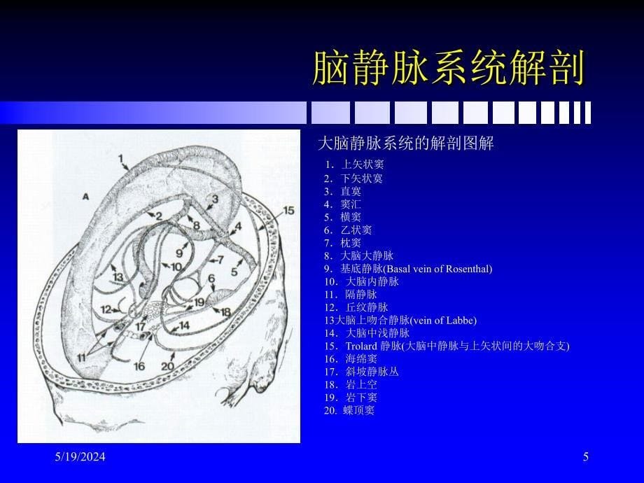 脑静脉和静脉窦血栓形成新进展课件PPT_第5页