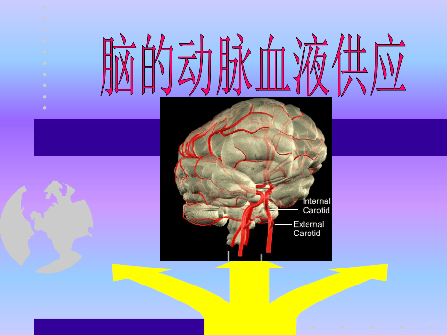 脑血管病神经内科课件PPT_第4页