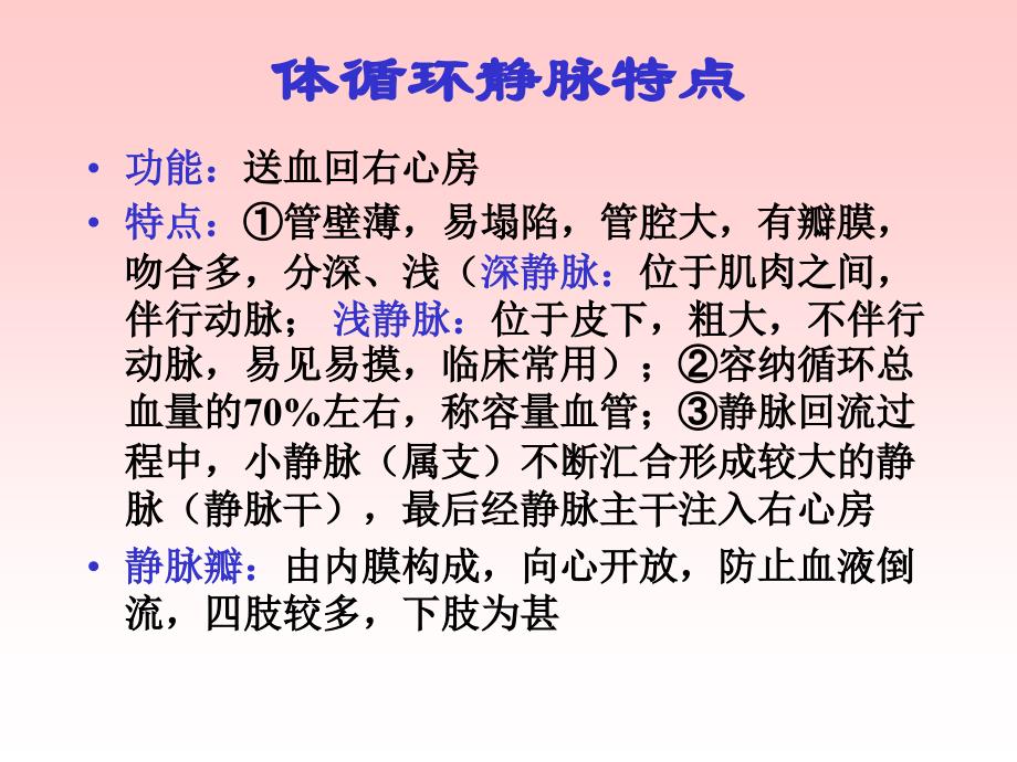 静脉置管术的应用解剖学基础课件PPT_第4页