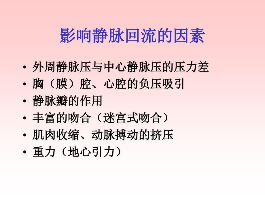 静脉置管术的应用解剖学基础课件PPT_第5页