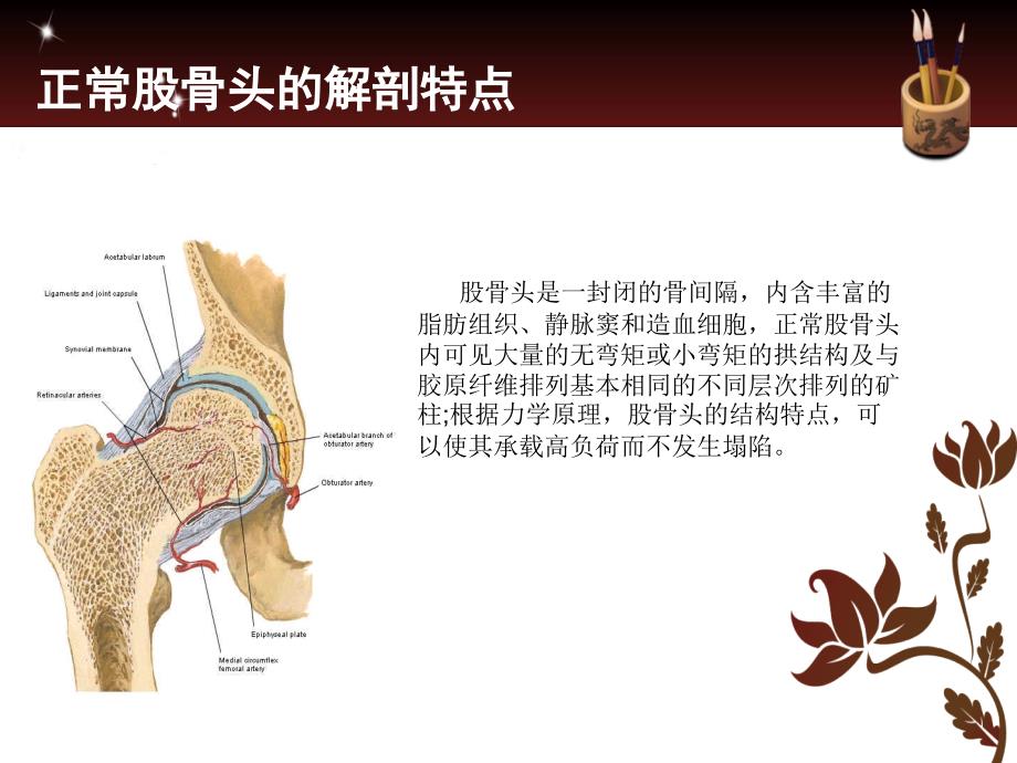 股骨颈髓腔内药物注射治疗股骨头缺血性坏死课件PPT_第3页