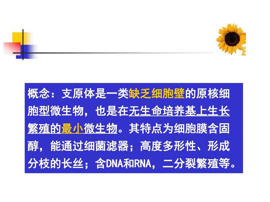 支原体、立克次体课件PPT_第2页