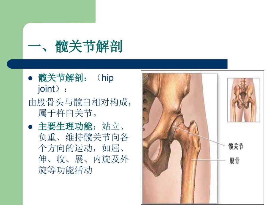 股骨颈骨折相关知识及常见护理问题对策课件PPT_第4页