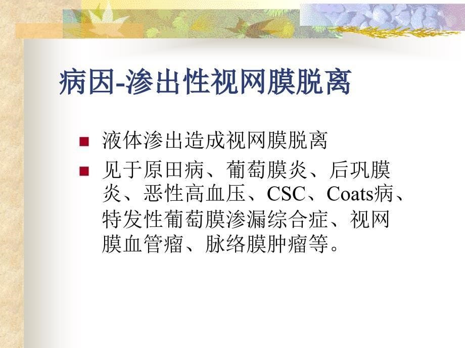 视网膜脱离()_第5页