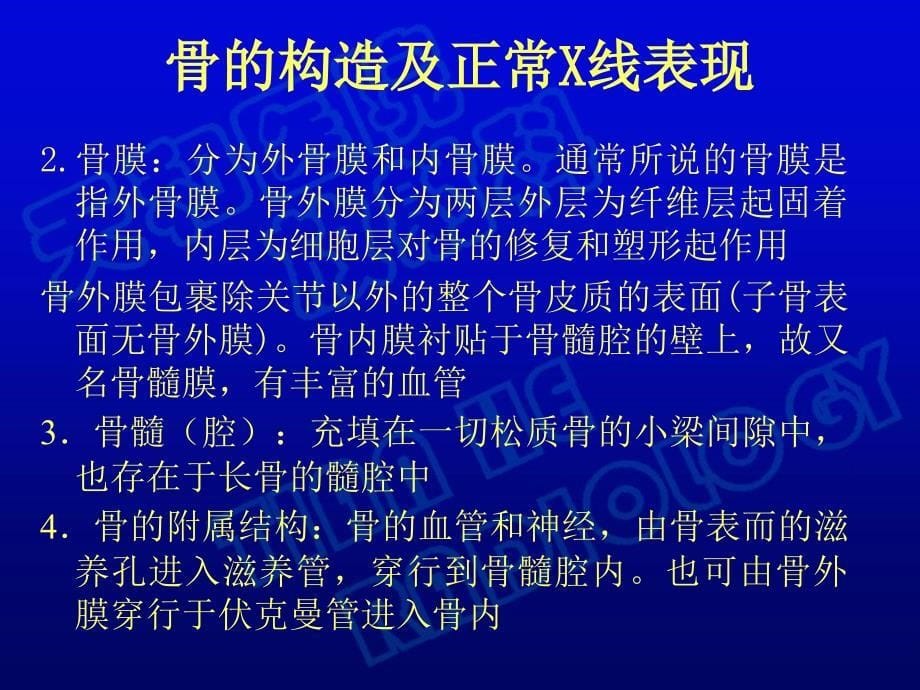 肢骨关和脊椎影像解剖课件PPT_第5页