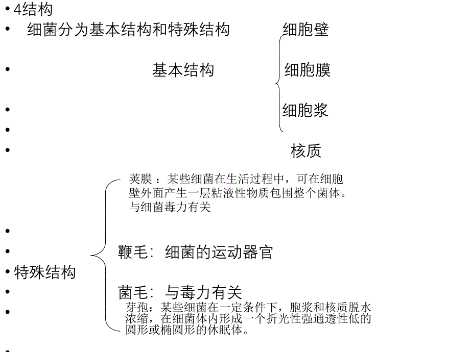 2020年细菌与病毒的相同点与不同点.ppt_第4页