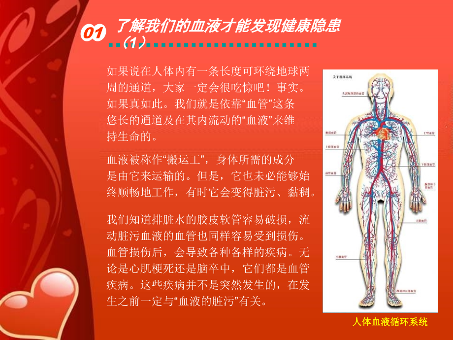 让血液和血管变得更加干净课件PPT_第2页