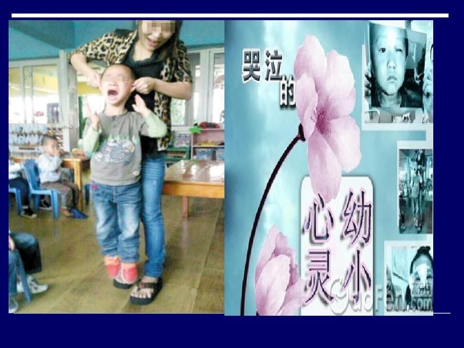 幼儿园教师资格综合素质模块二讲解学习_第5页