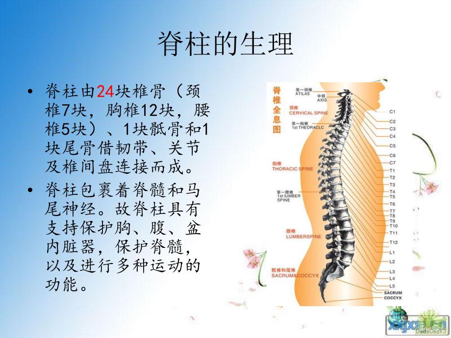 脊柱骨折伴脊髓损伤患者的护理课件PPT_第3页