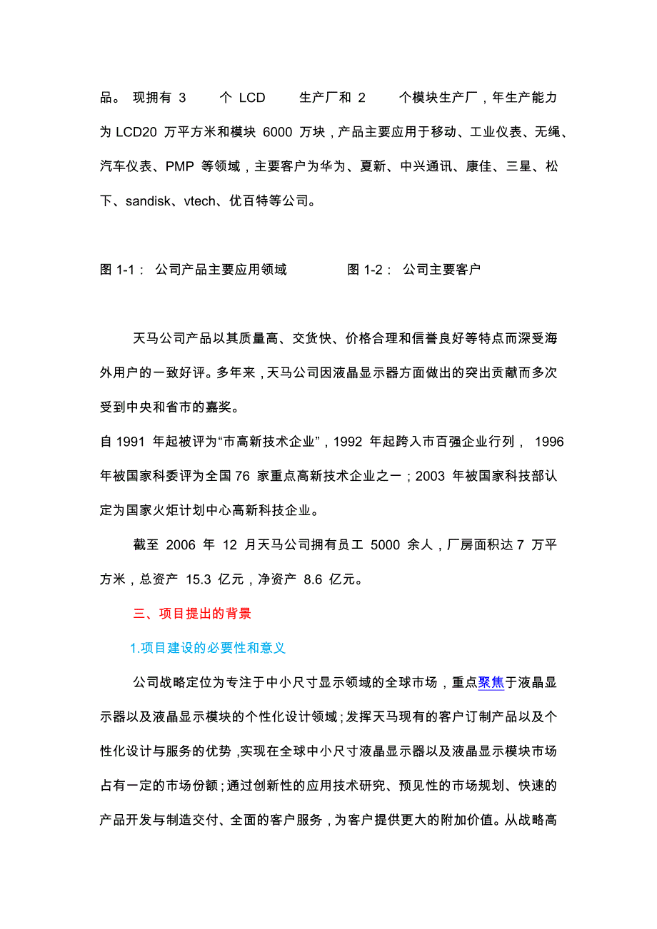 某显示类上市公司的可行性实施计划书_第3页