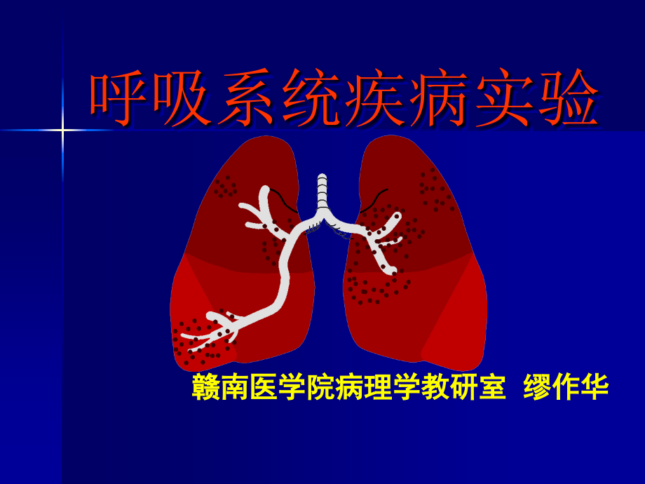 呼吸系统疾病实验课件PPT_第1页