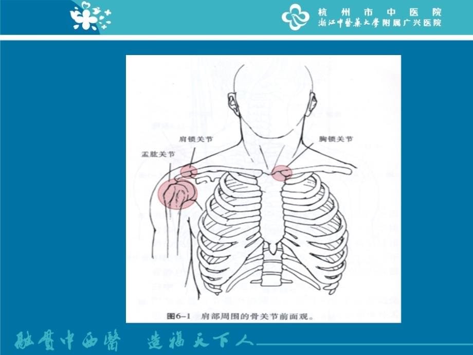 肩周炎的诊断与治疗课件PPT_第5页