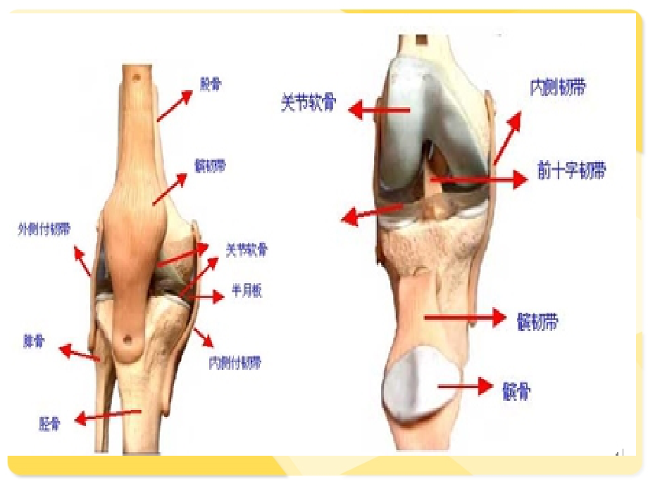 全膝关置换术后康复课件PPT_第4页