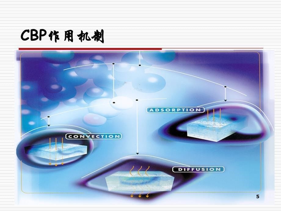 CBP在重症医学中的应用_第5页