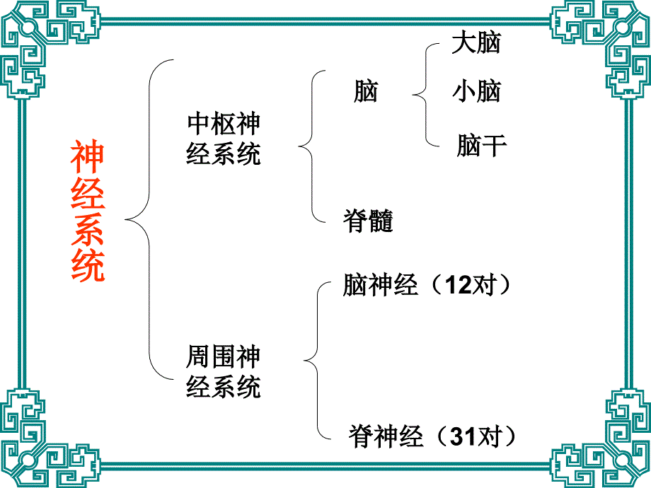 ICU部门的神经监测护理与测试课件PPT_第4页